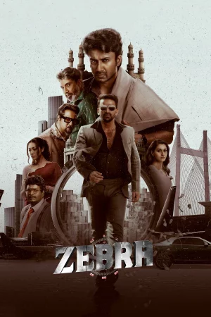 Zebra watch online on Bollywatch