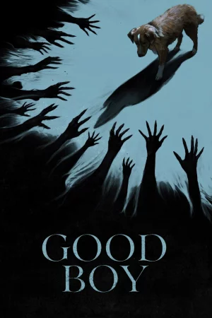 Good Boy watch online on Bollywatch