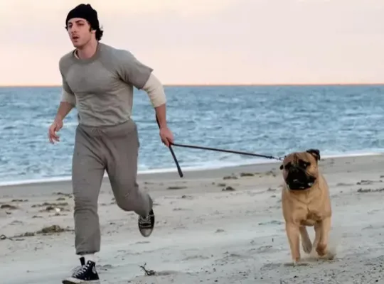 "Rocky Is Me" to Release for the 50th Anniversary of Sylvester Stallone's Cult Film