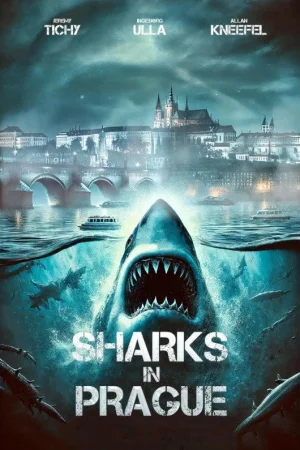 Sharks In Prague watch online on Bollywatch